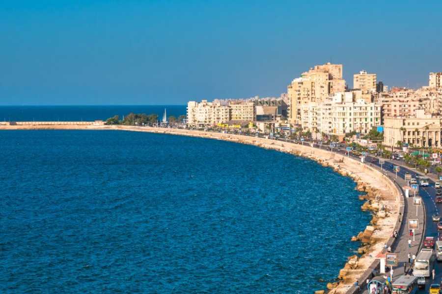 Egypt Tour packages City tour to Alexandria from Alexandria Port