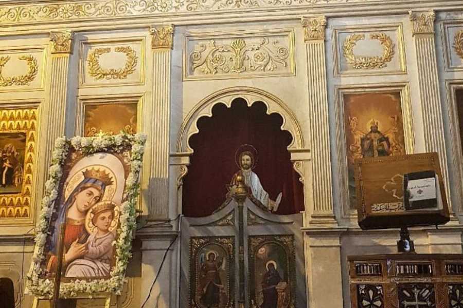 Egypt Tour packages City tour to Alexandria from Alexandria Port