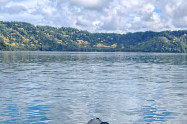 Rent a Kayak With Us!