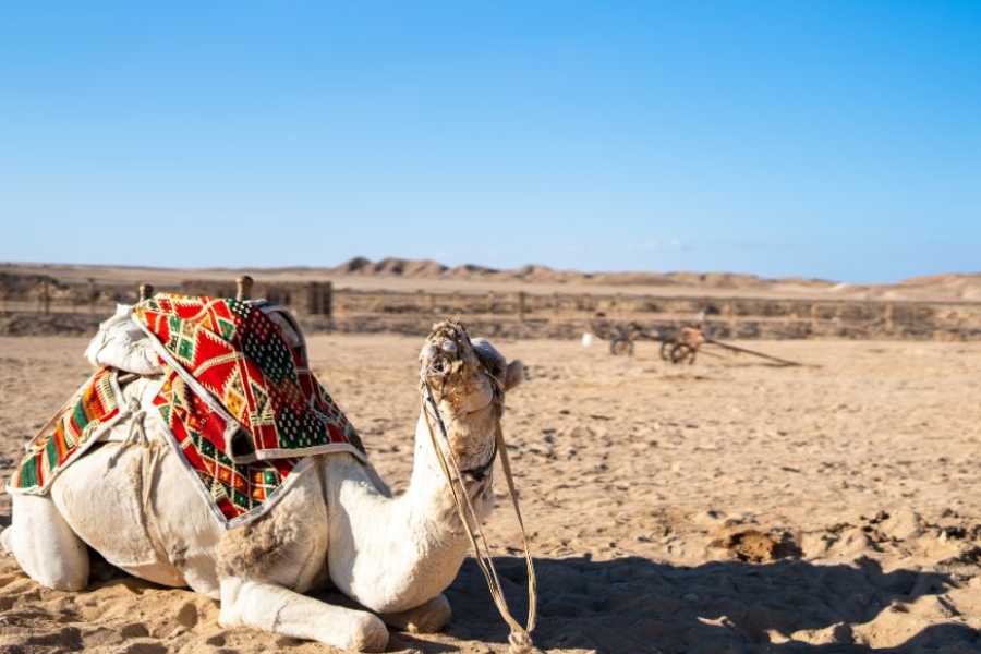 Egypt Tour packages 14 Day Egypt itinerary Nile cruise and the desert with Red Sea