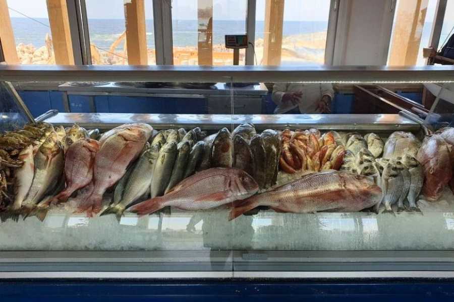 Egypt Tour packages Romantic Evening in Alexandria From Alexandria Port