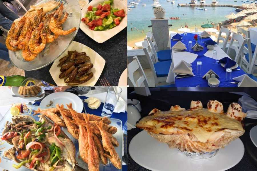Egypt Tour packages Romantic Evening in Alexandria From Alexandria Port
