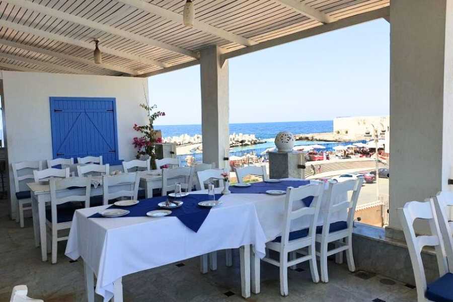 Egypt Tour packages Romantic Evening in Alexandria From Alexandria Port