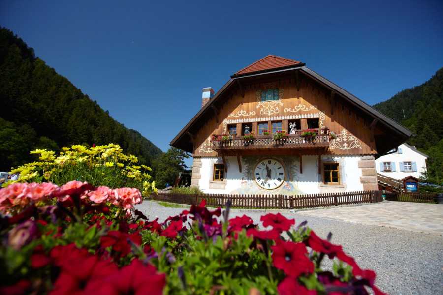 BaselCitytour.ch ab Basel: Tagesausflug zum Titisee, Ravenna-Viadukt, St. Blasien