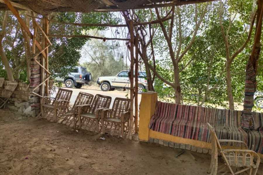 Egypt Tour packages 4 dages Egyptenrejse Pyramiderne og Hvalernes Dal
