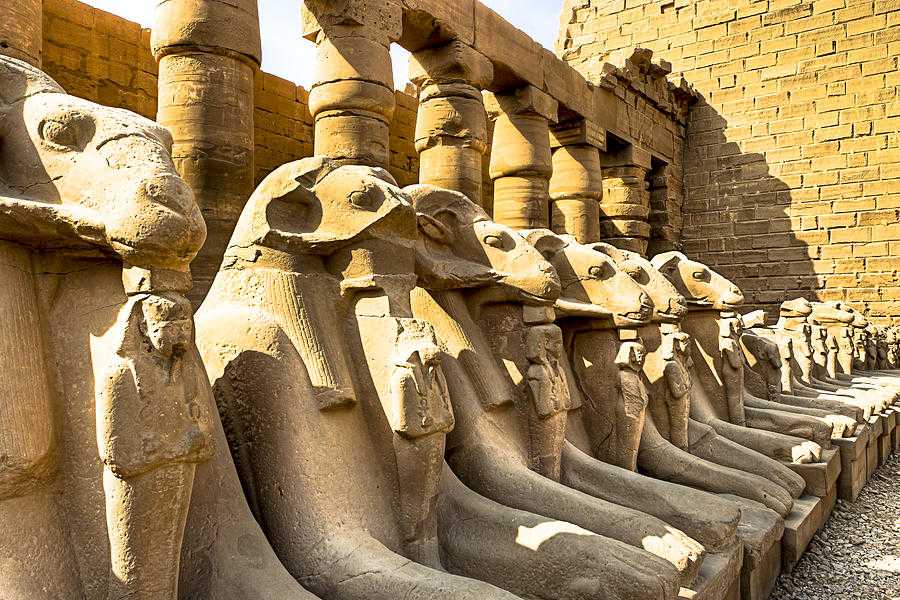Journey To Egypt 11 Day Cairo, Alexandria, Luxor , Abydos, Aswan and Abu Simbel