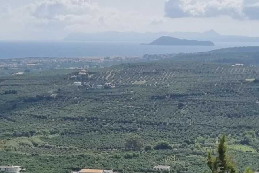 Destination Platanias Vin och Ost Provsmakning!