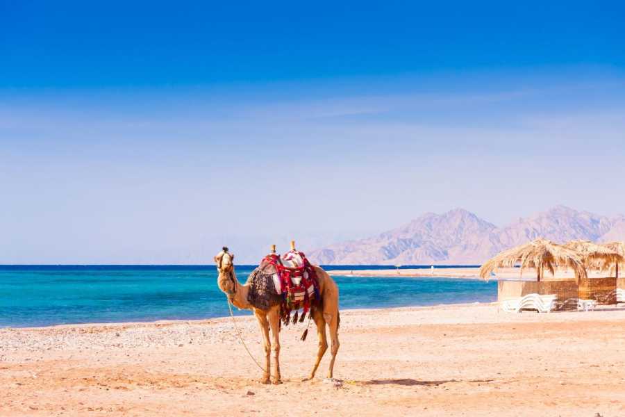 Journey To Egypt 11 Days Cairo, Nile Cruise and Hurghada by Flight