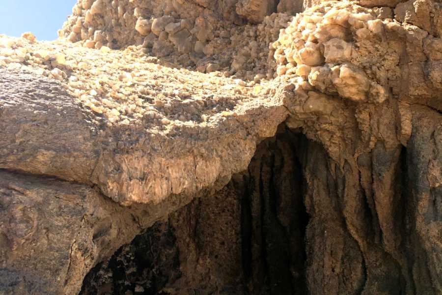 Egypt Tour packages Trip to Wadi Al Hitan and Fayoum Oasis From Port Said Port