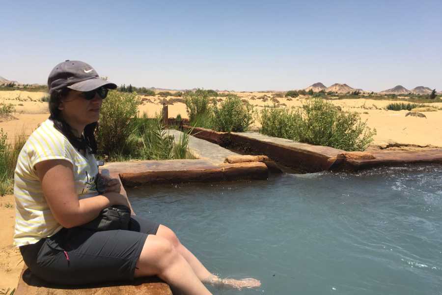 Egypt Tour packages Trip to Wadi Al Hitan and Fayoum Oasis From Port Said Port