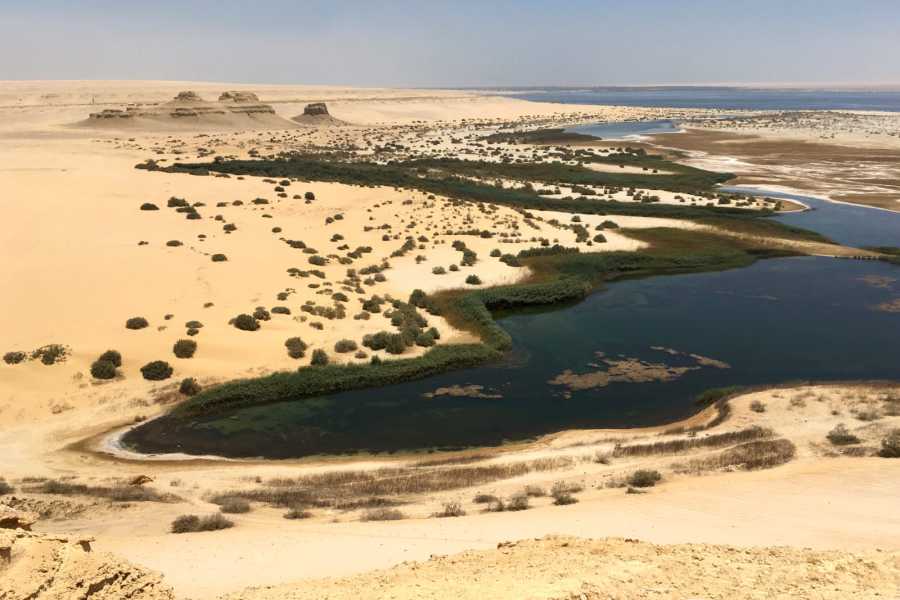 Egypt Tour packages Trip to Wadi Al Hitan and Fayoum Oasis From Port Said Port