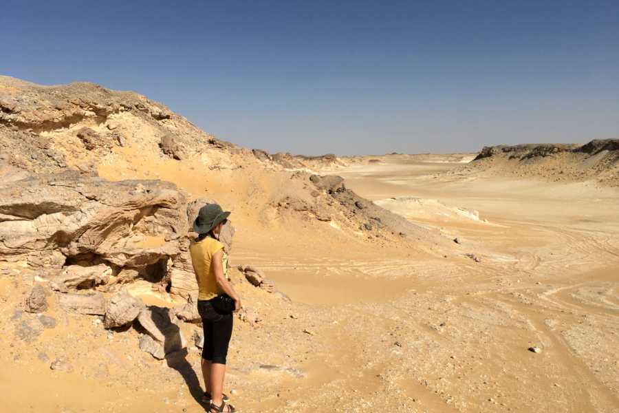 Egypt Tour packages Trip to Wadi Al Hitan and Fayoum Oasis From Port Said Port