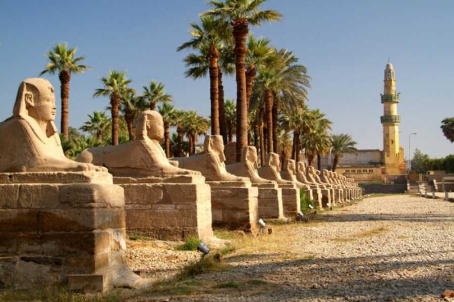 Marsa alam tours Luxor Private Day tour from Marsa Alam