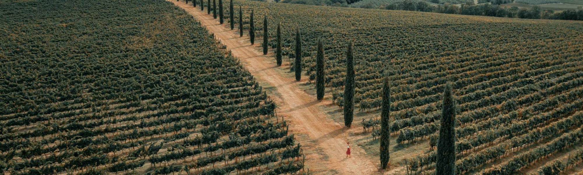 Bio-Weinverkostung: Ein authentisches Erlebnis in der Tradition der Romagna