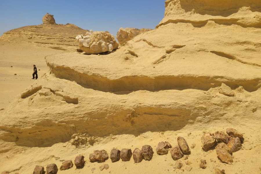 Egypt Tour packages 3 Day Trip to Fayoum oasis from Cairo