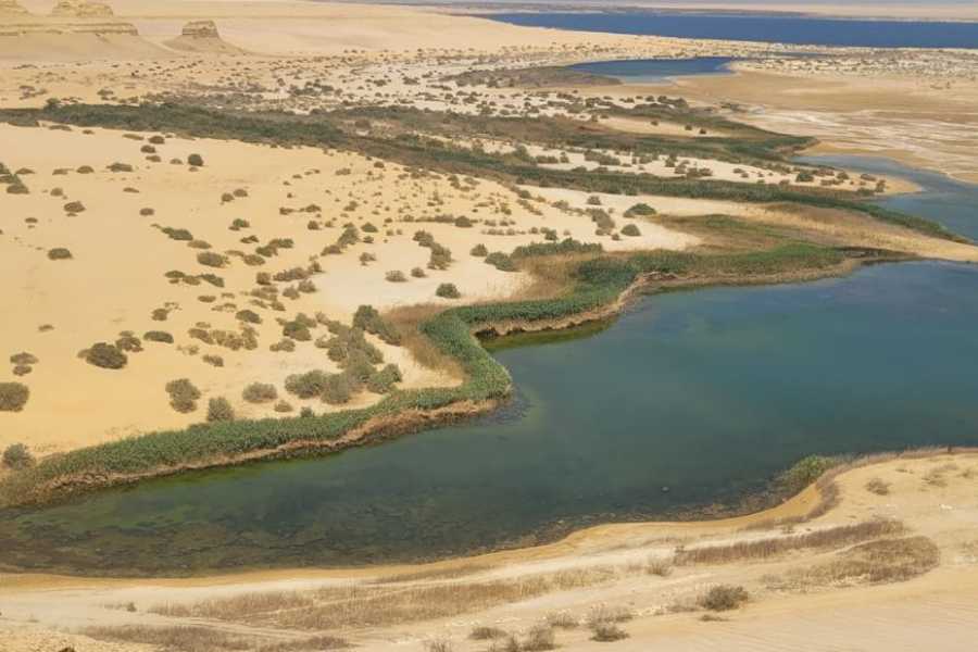 Egypt Tour packages 3 Day Trip to Fayoum oasis from Cairo