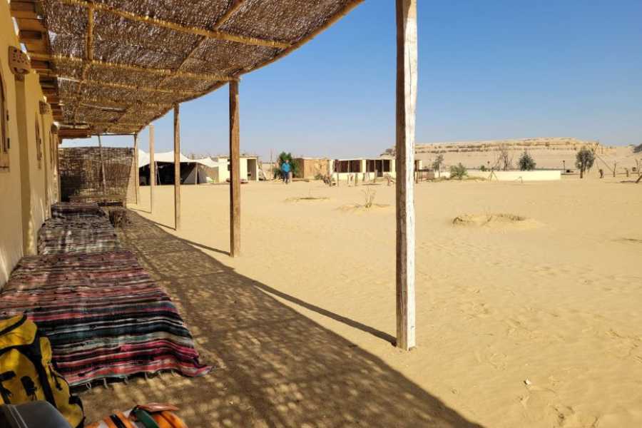 Egypt Tour packages 3 Day Trip to Fayoum oasis from Cairo