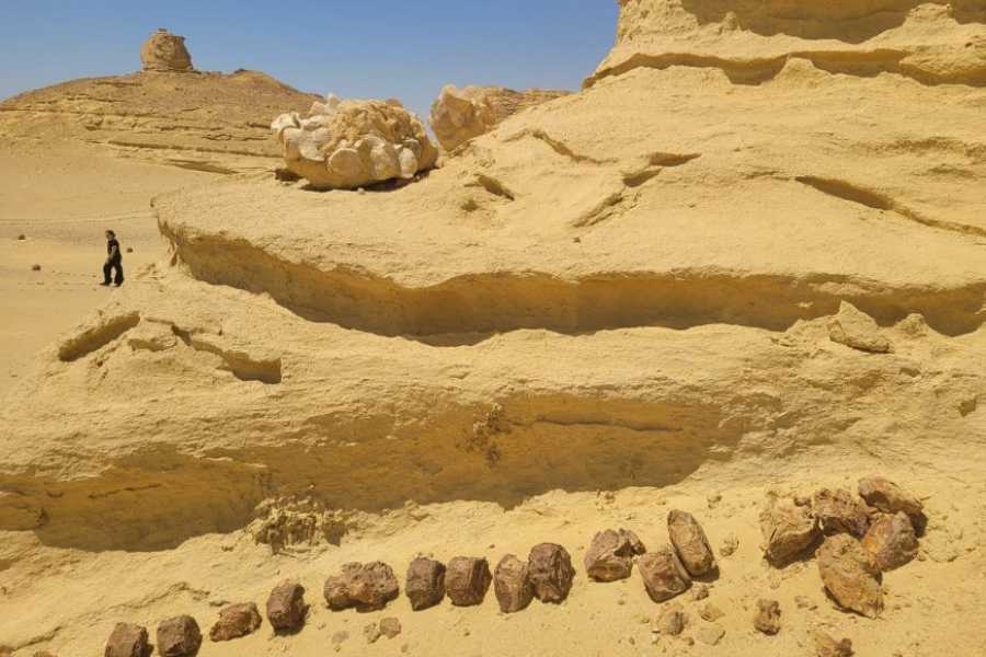 Egypt Tour packages 3 Day Trip to Fayoum oasis from Cairo