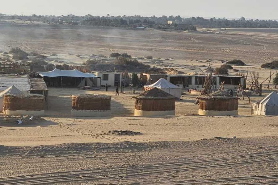 Egypt Tour packages 3 Day Trip to Fayoum oasis from Cairo