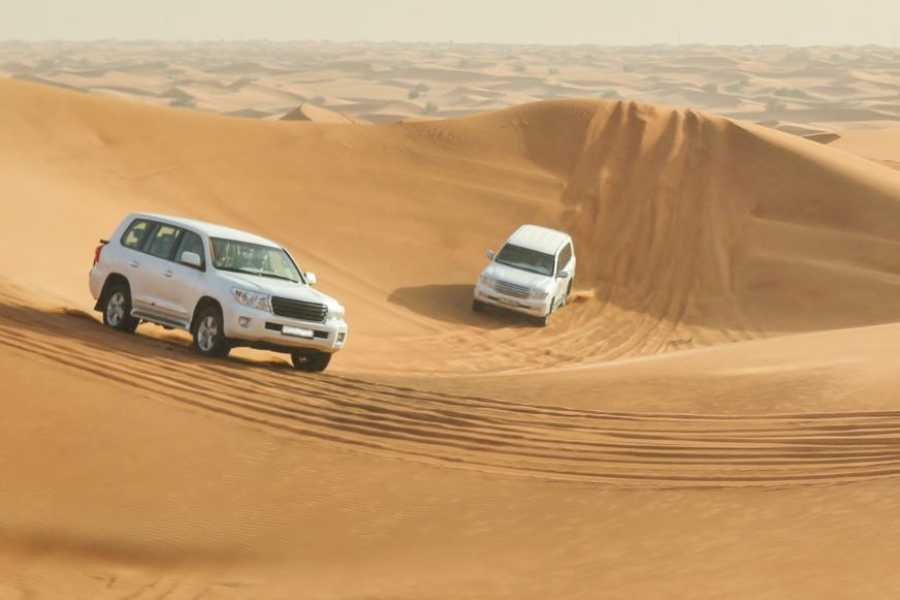 Egypt Tour packages 6 Days Trip Cairo and the desert