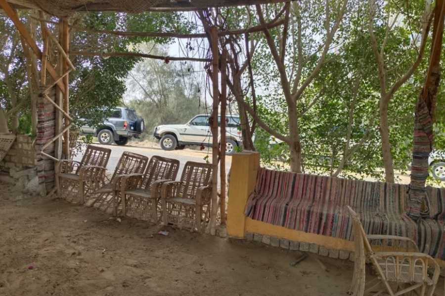 Egypt Tour packages 6 Days Trip Cairo and the desert