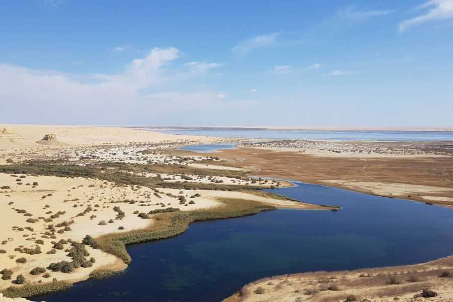 Egypt Tour packages 8 Days Trip Cairo and the valley of the whales