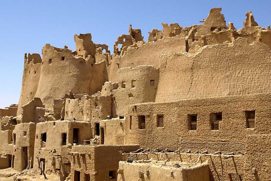 Marsa alam tours 4 Days trip to Siwa oasis  and white desert from Cairo