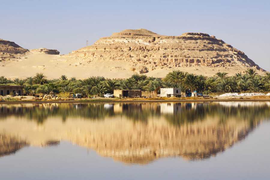 Marsa alam tours 4 Days trip to Siwa oasis  and white desert from Cairo