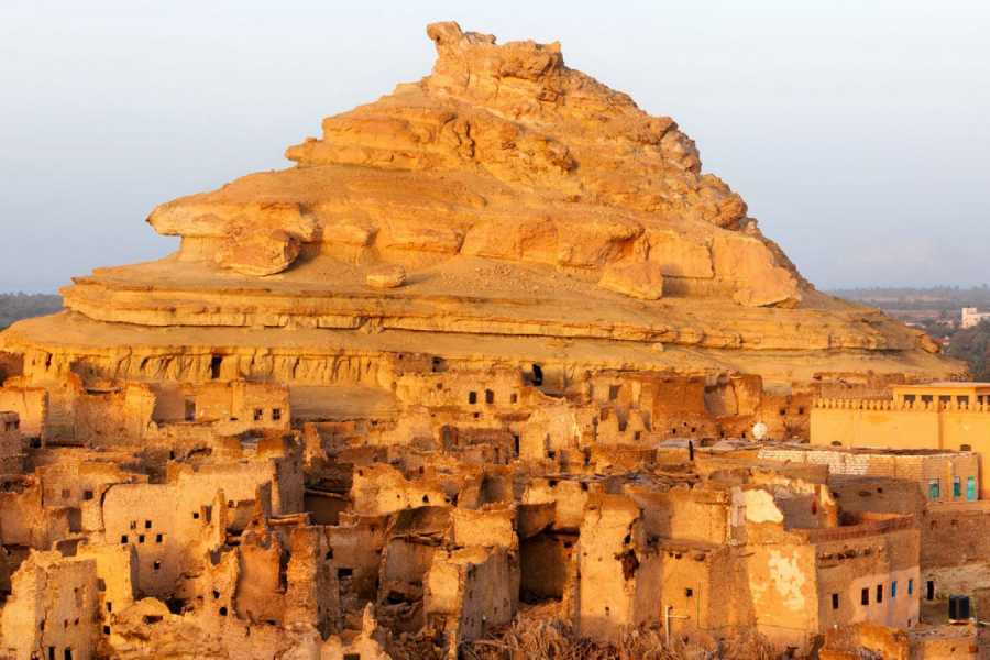Marsa alam tours 4 Days trip to Siwa oasis  and white desert from Cairo