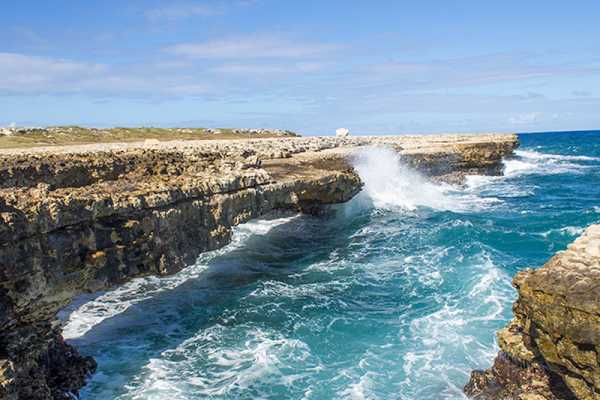 Island Safari Discovery Excursion
