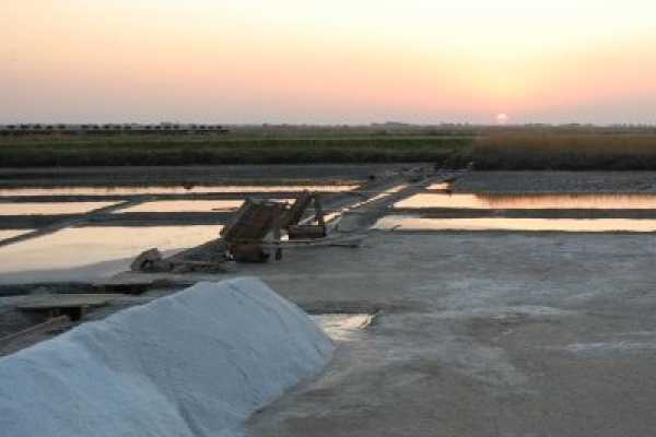 Salina di Cervia in Trenino al tramonto