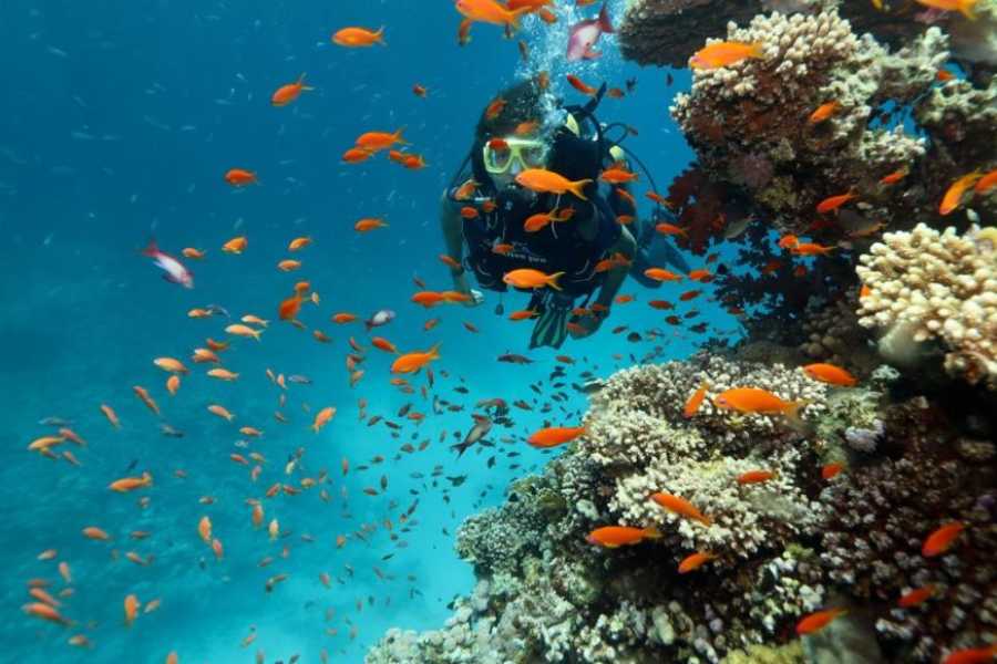 Egypt Tour packages 14 Day Egypt itinerary Nile cruise and Alexandria with Red Sea