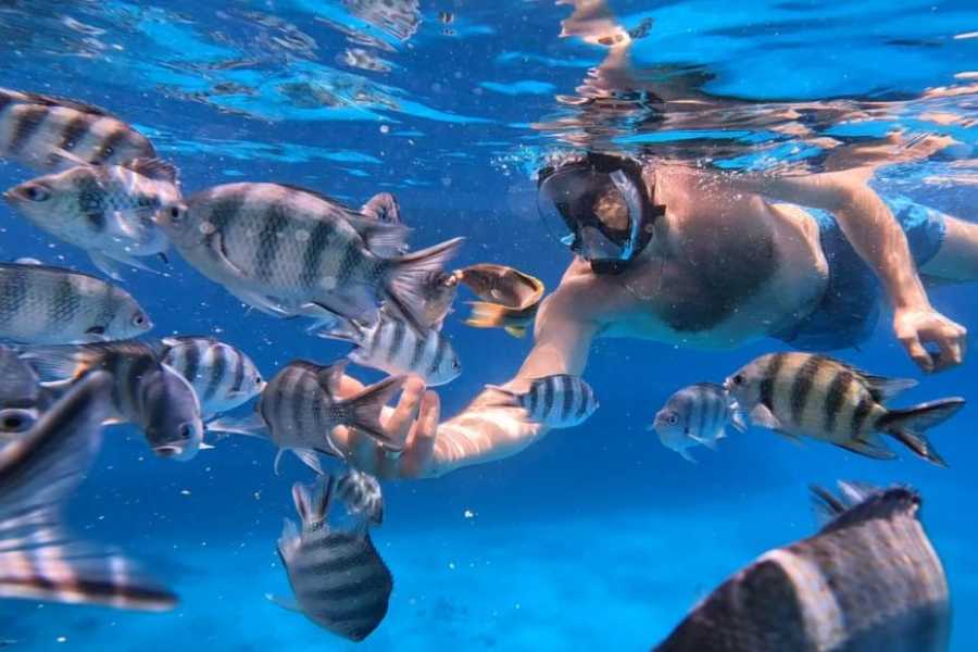 Egypt Tour packages 10 Days Egypt Itinerrary Cairo and Sharm el sheikh