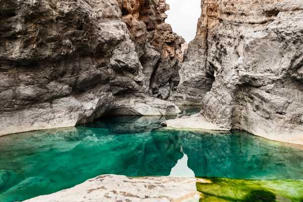 Dolphins, Wadi & Desert