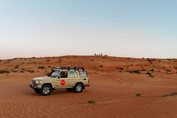 Dolphins, Wadi & Desert