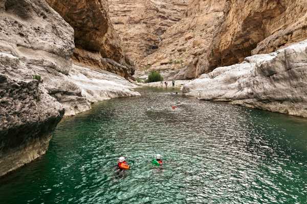 Dolphins, Wadi & Desert