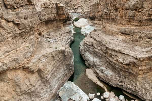 Dolphins, Wadi & Desert