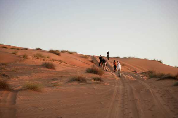 Dolphins, Wadi & Desert