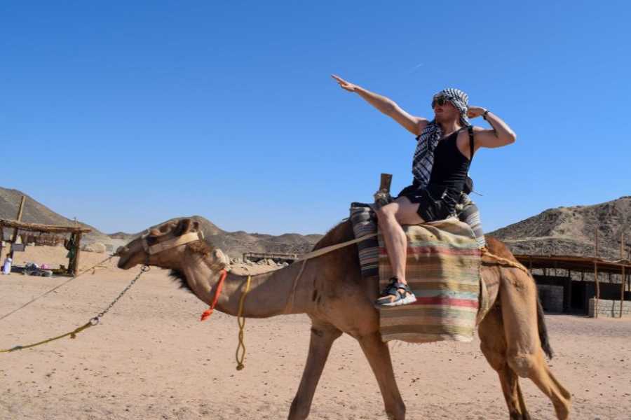 Egypt Tour packages Mini Safari Adventure From Soma Bay