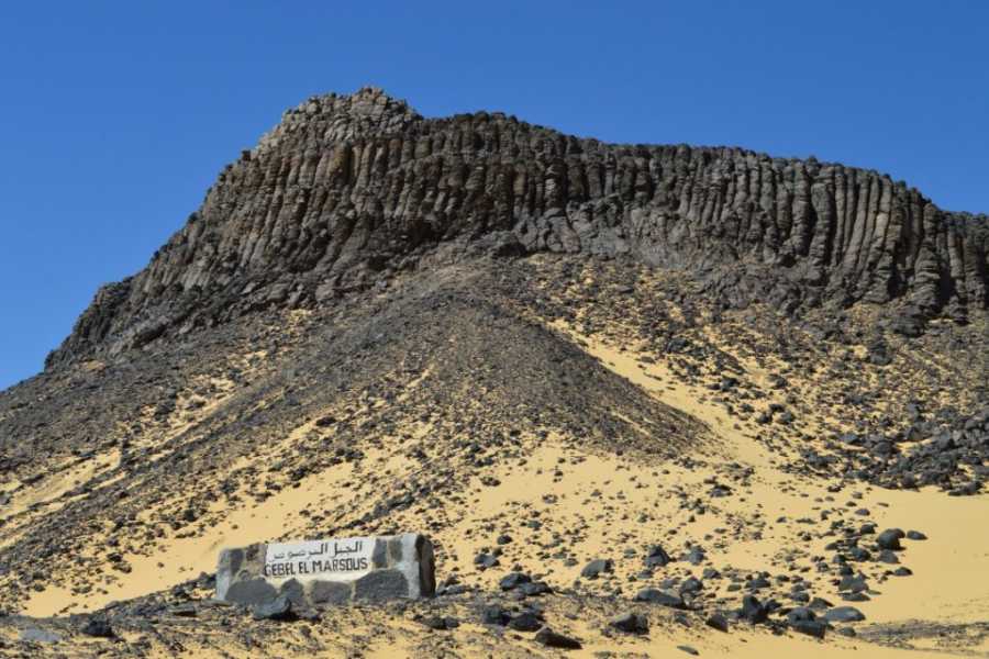 Marsa alam tours 2 Days trip to the white desert and Giza pyramids  from Alexandria port