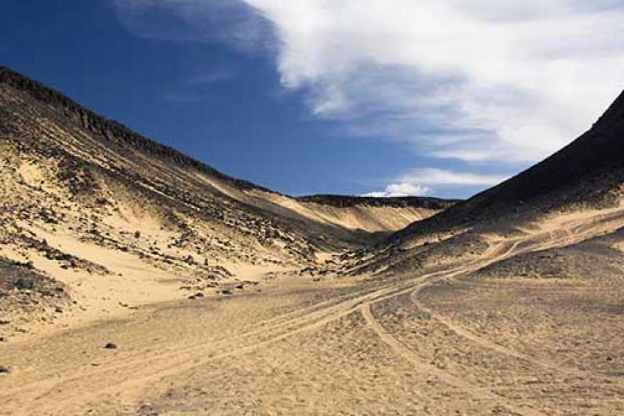 Marsa alam tours 2 Days trip to the white desert and Giza pyramids  from Alexandria port