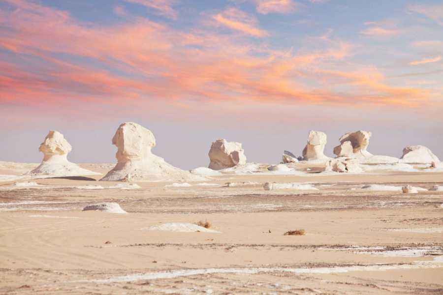 Marsa alam tours 2 Days trip to the white desert and Giza pyramids  from Alexandria port 