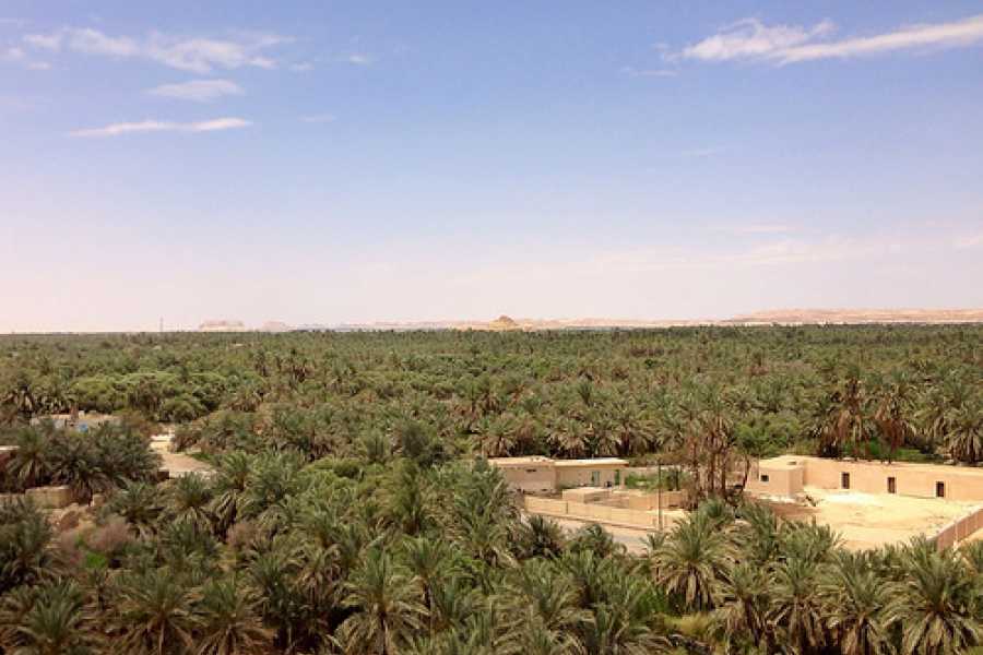 Marsa alam tours 2 Days trip to the white desert and Giza pyramids  from Alexandria port 