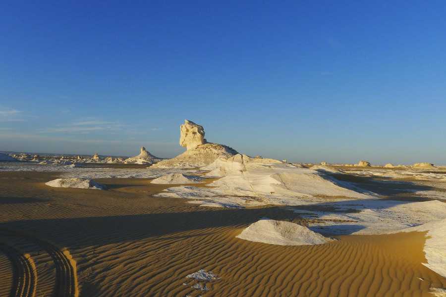 Excursies Egypte Two days tour to Bahariya Oasis and white desert from Cairo