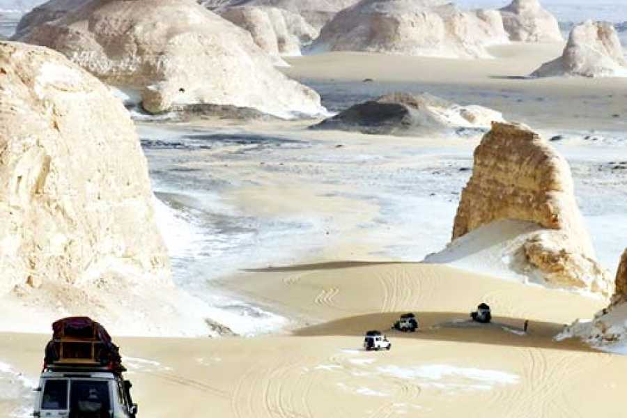 Excursies Egypte Two days tour to Bahariya Oasis and white desert from Cairo