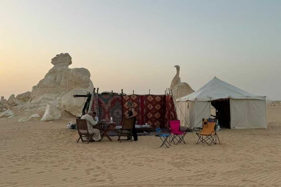 Excursies Egypte Two days tour to Bahariya Oasis and white desert from Cairo