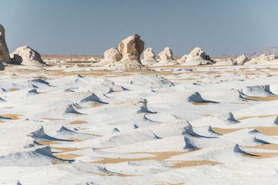 Excursies Egypte Two days tour to Bahariya Oasis and white desert from Cairo
