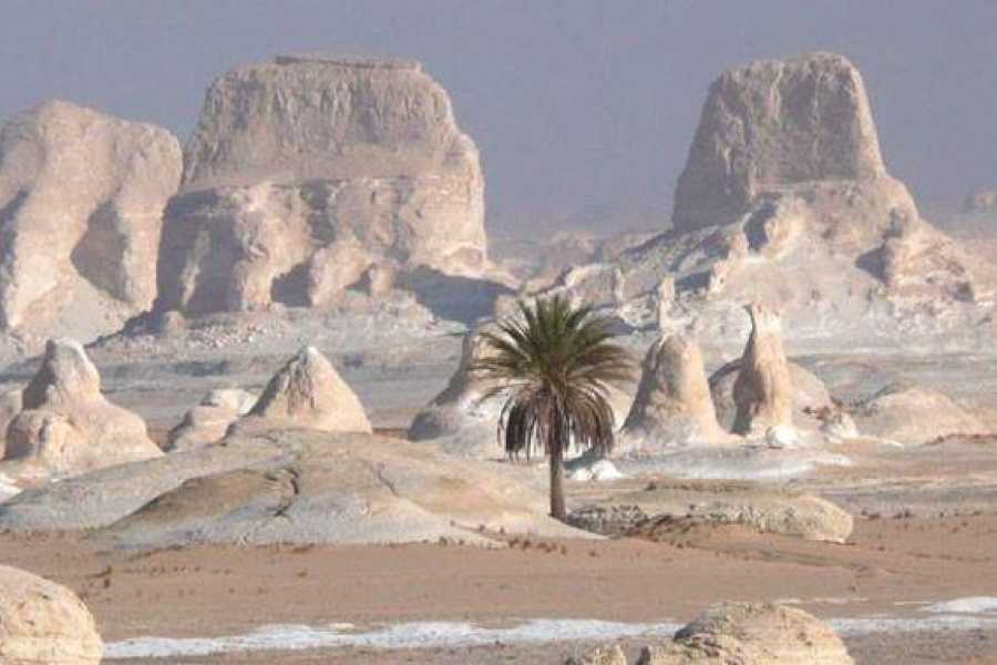 Excursies Egypte Two days tour to Bahariya Oasis and white desert from Cairo