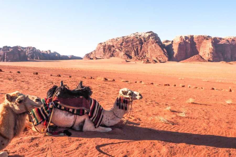 Excursies Egypte Super Quad biking excursie vanuit Hurghada