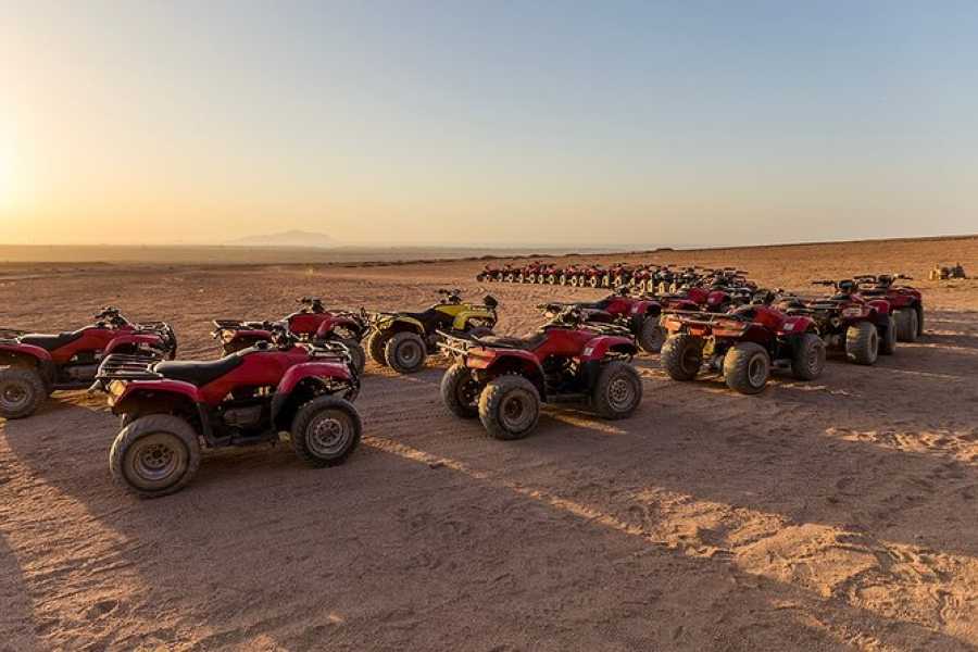 Excursies Egypte Fun Safari from El Gouna